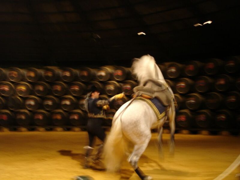 Jerez Private Tour From Seville: Wine and Equestrian Art - The Sum Up