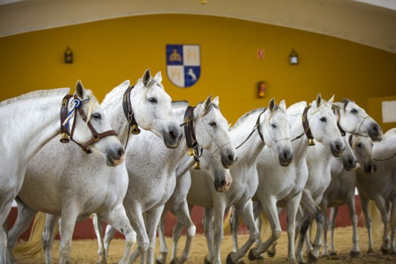 Jerez: Yeguada de la Cartuja Carthusian Horses Tour - A Deep Dive into the Experience