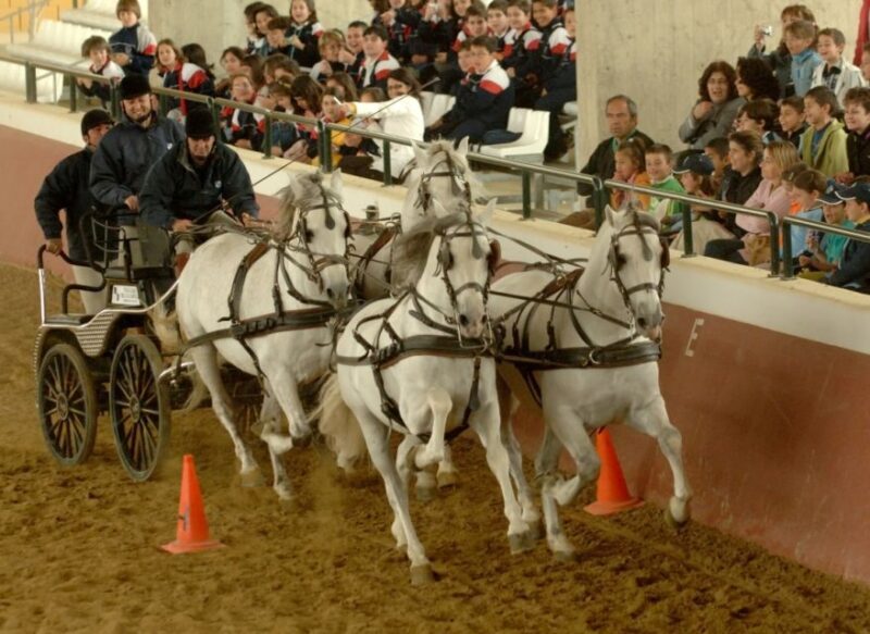 Jerez: Yeguada de la Cartuja Carthusian Horses Tour - Final Thoughts