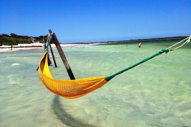 Jericoacoara beach in 1 day - Preguiça Tree and Pedra Furada: Iconic Photo Spots