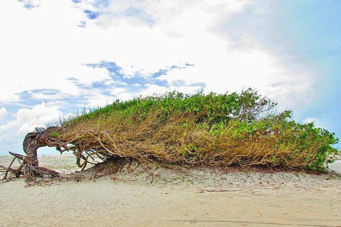 Jericoacoara beach in 1 day - Sunset on Duna do Por do Sol: A Must-See Moment