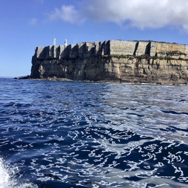 Jervis Bay: 2-Hour Cruise of Jervis Bay Passage - The Sum Up