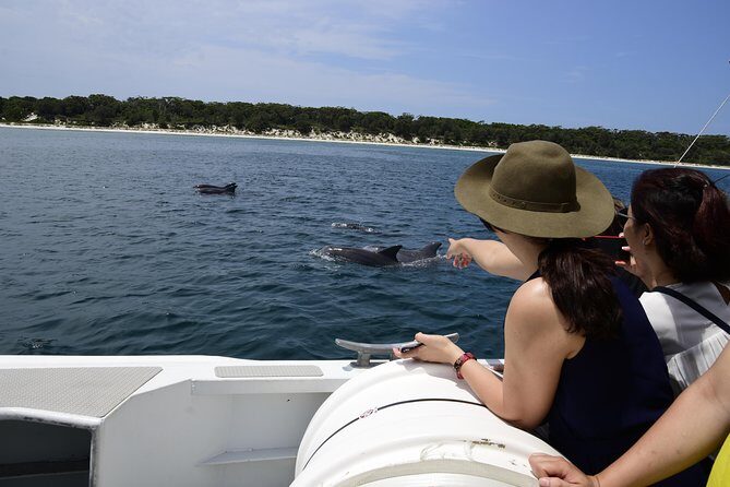 Jervis Bay Dolphin Cruise - An In-Depth Look at the Jervis Bay Dolphin Cruise