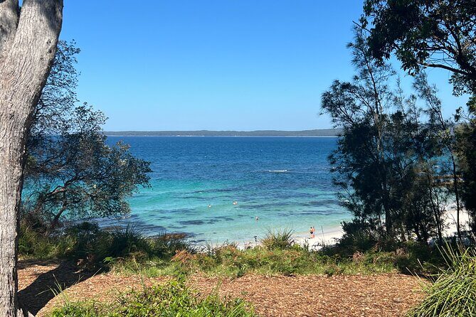 Jervis Bay Private Tour - Pick up & Drop off - An In-Depth Look at the Jervis Bay Private Tour — Pick Up & Drop Off
