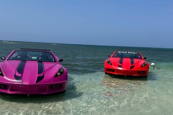 Jet Cars and Jet Ski with Transportation - Key Points