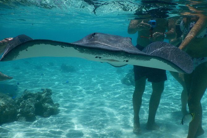 Jet-ski excursion 3 hrs Jet ski excursion to Moorea (single or two-seater) - Final Thoughts