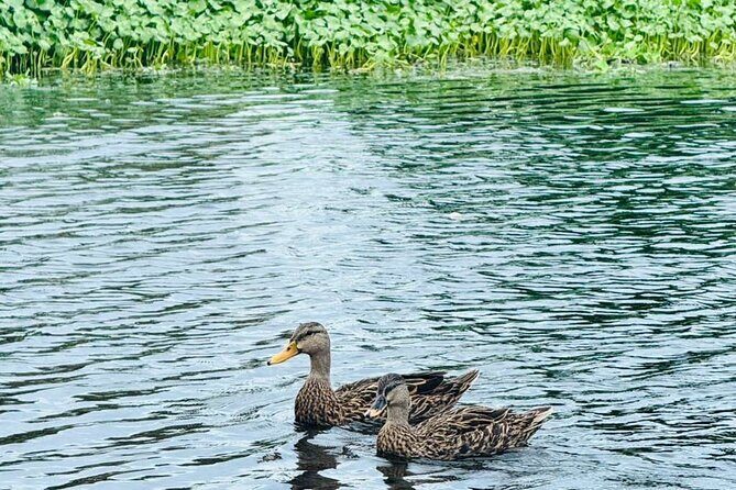Jet Ski Tour at Lake Osborne  Guided Adventure, West Palm Beach - The Sum Up