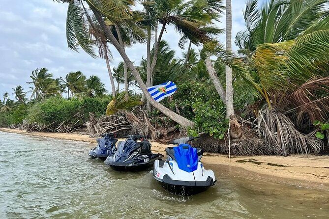 JetSki Tour on Vieques - Who Should Consider This Tour?