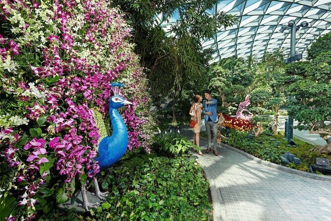 Jewel Changi Airport: Hedge Maze and Canopy Park Ticket - Key Points