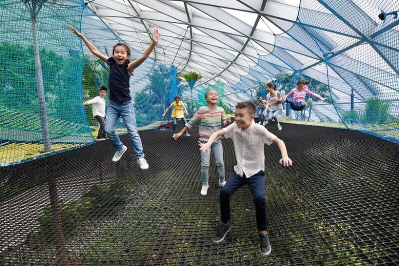 Jewel Changi Airport: Sky Nets Admission Ticket - Who Will Love This Experience?