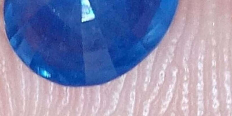 Jewel Hunt Tour of Colombo Shore Excursion from Colombo Port - Final Thoughts