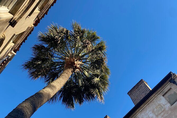 Jewish History Private Walking Tour of Charleston - Exploring Charleston’s Jewish Heritage: A Closer Look
