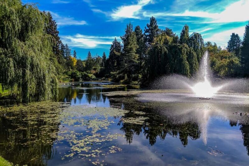 Jewish History Vancouver Oakridge Private Walking Tour - Who Would Enjoy This Tour?