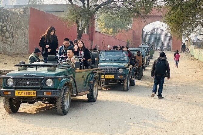 Jhalana Wildlife Private Jeep Safari Tour in Jaipur - Discover the Wild Side of Jaipur: Jhalana Wildlife Private Jeep Safari