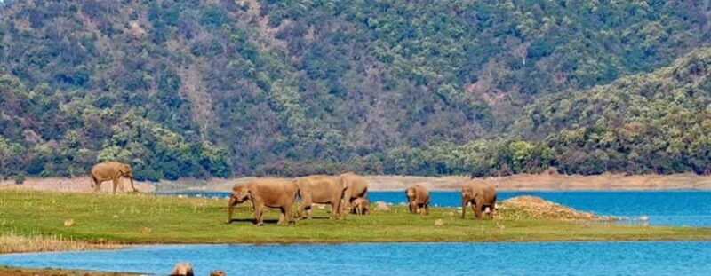 Jim Corbett: 3-Day Safari Tour by Flight from Bangalore - Important Tips for a Smooth Trip
