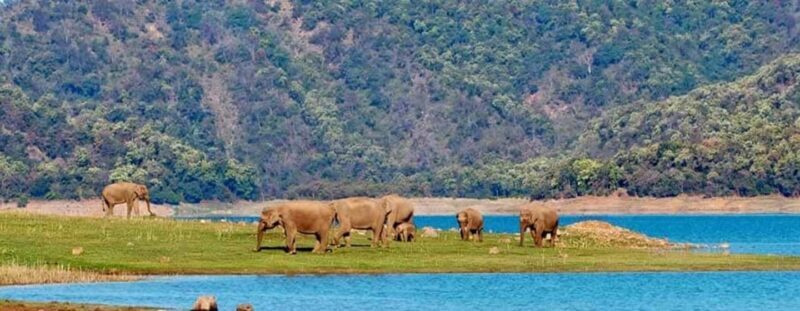 Jim Corbett: 3-Day Safari Tour by Flight from Pune - Key Points