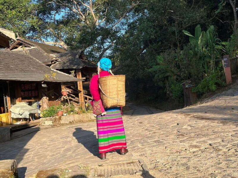 Jingmai Mountain (UNESCO) | Old Tea Forests and Dai Villages - Exploring Jingmai Mountain in Depth