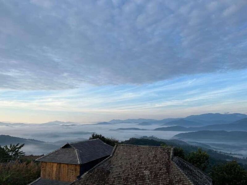 Jingmai Mountain (UNESCO) | Old Tea Forests and Dai Villages - Why This Tour Is Worth It