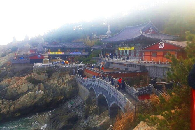 Jinhae Cherry Blossom + Busan Sunrise from Seoul - Frequently Asked Questions