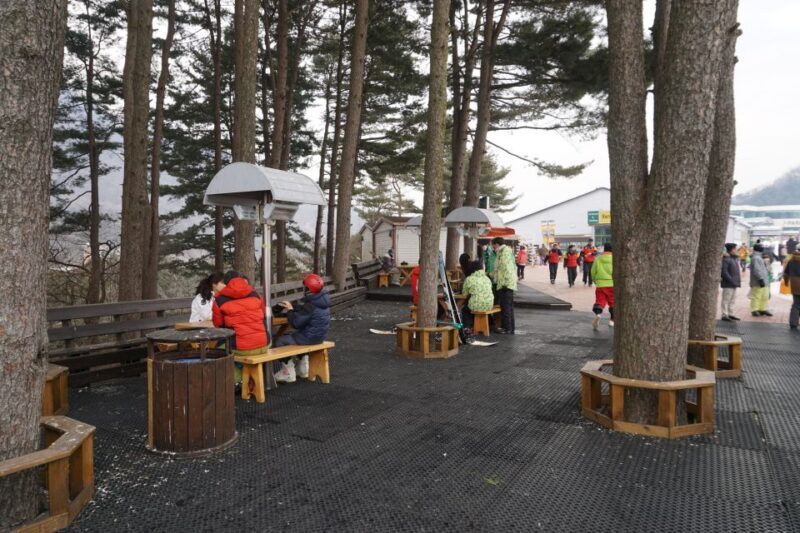 Jisan Forest Resort: Ski Full-Day Tour or Shuttle from Seoul - Jisan Forest Resort: Ski Full-Day Tour or Shuttle from Seoul