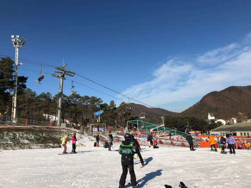 Jisan Forest Ski Resort One Day Tour - Key Points