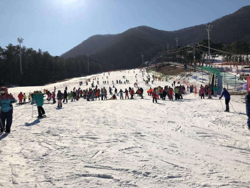 Jisan Forest Ski Resort One Day Tour - Exploring the Jisan Forest Ski Resort One Day Tour