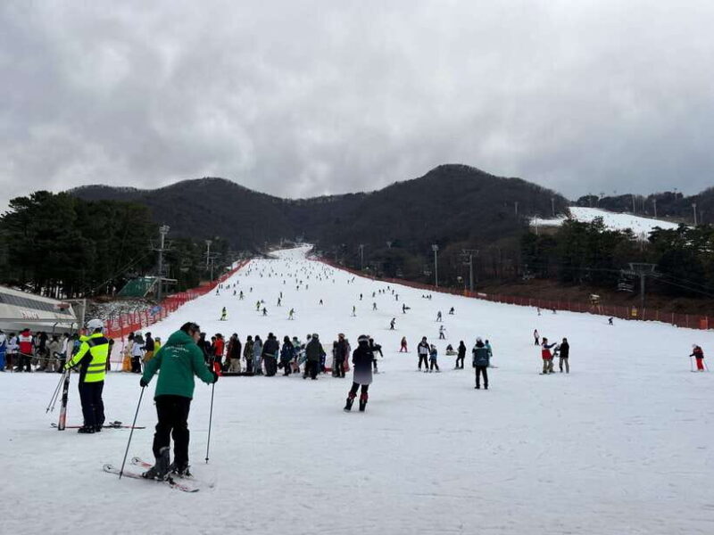 Jisan Forest Ski Resort One Day Tour - The Sum Up: A Solid Choice for a Winter Day Out