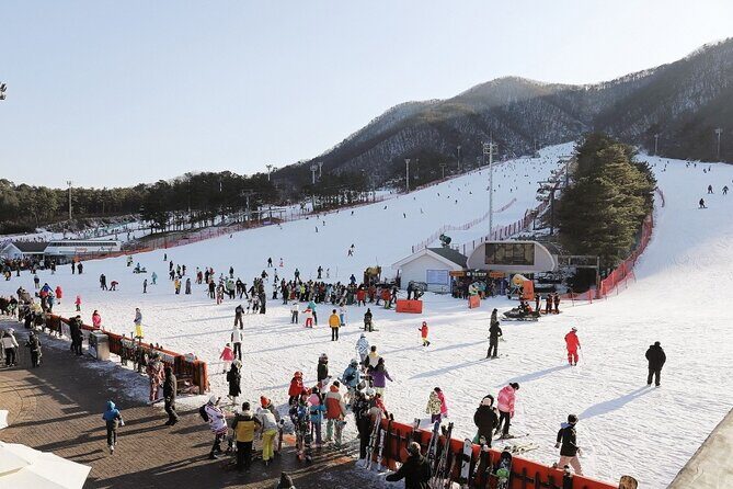 Jisan Forest Winter Ski Day Tour from Seoul with Basic Lesson - A Full Breakdown of the Jisan Forest Ski Day Tour