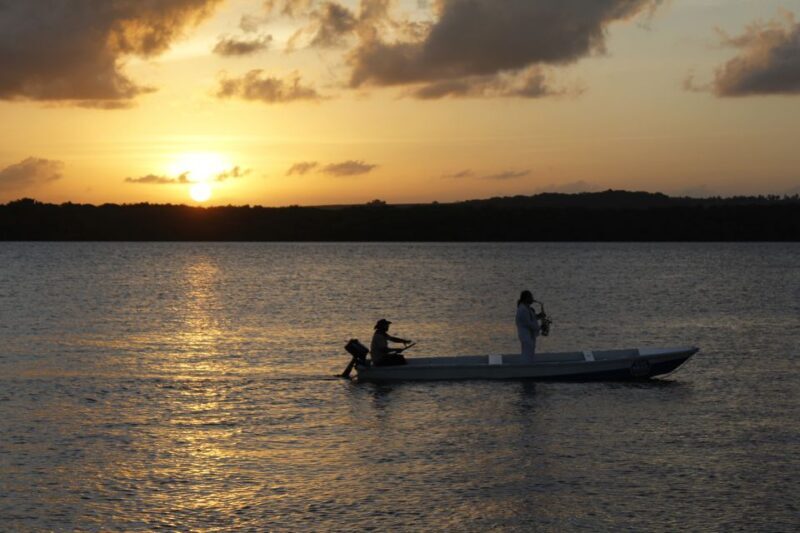 Joao Pessoa Northern Coast Beaches Day Tour - Who Should Take This Tour?
