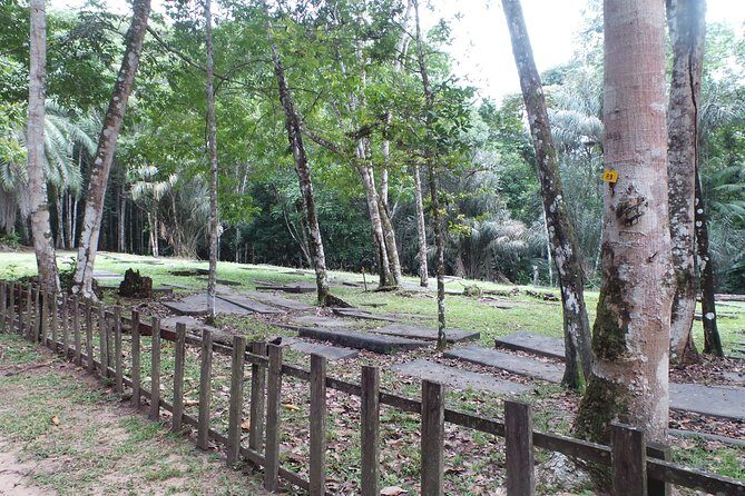 Jodensavanna Cultural Tour with Lunch on Overbridge - A Closer Look at the Jodensavanna Cultural Tour
