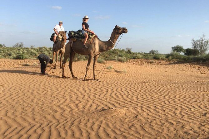 Jodhpur Camel Safari & Jeep Safari In Desert Jodhpur SR - What Makes This Tour Stand Out?