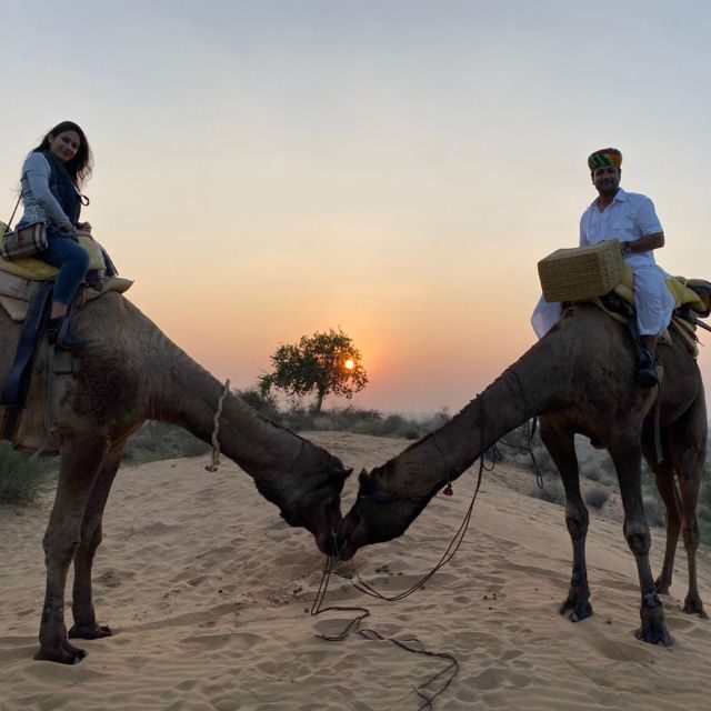 Jodhpur Camel Safari & Overnight Stay In Desert With Sumer - Who Will Love This Tour?