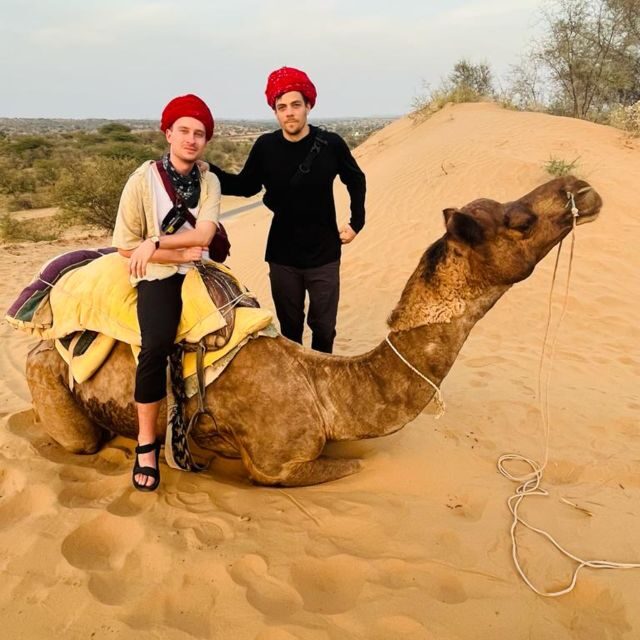 Jodhpur Camel Safari With Traditional Food With Sumer - In-Depth Review of the Jodhpur Camel Safari With Traditional Food