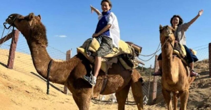 Jodhpur: Desert Camel and Jeep Safari with Traditional Food - Who Is This Tour Best For?