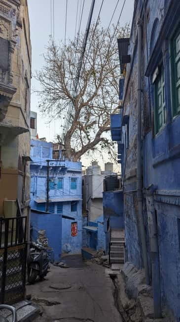 Jodhpur: Mehrangarh Fort and Blue City Walking Tour - Key Points