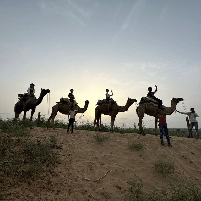 Jodhpur OvernightStay In Desert Rural Village With CamelRide - Key Points