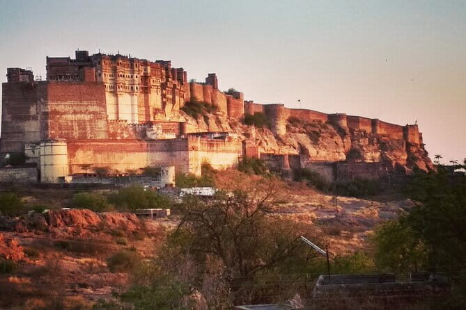 Jodhpur Walk With Kuku - FAQ