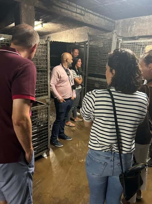Johannisberg Rheingau: Wine tasting with cellar tour and hike - The Value of the Experience