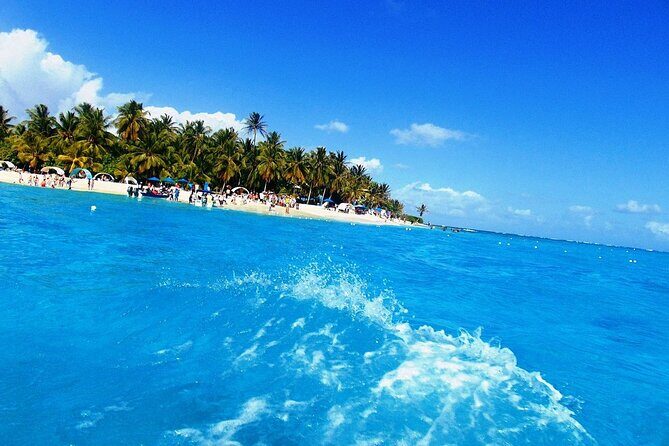 Johnny Cay Tour Haynes Cay Aquarium, Watching and Mangroves - A Detailed Look at the Johnny Cay Tour Experience