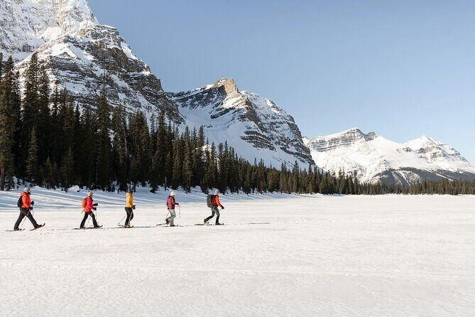Johnston Canyon, Banff Historical Site, Gondola all inclusive - Returning to Calgary