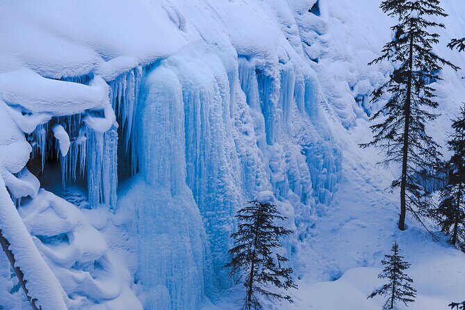 Johnston Canyon Frozen Waterfalls & Banff Backroads Wildlife Tour - What Travelers Are Saying: Authentic Feedback
