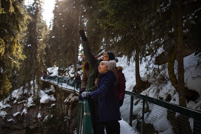 Johnston Canyon Frozen Waterfalls & Banff Backroads Wildlife Tour - FAQ