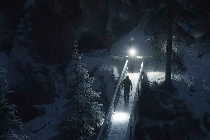 Johnston Canyon Night Walk and Stargazing Experience - Key Points