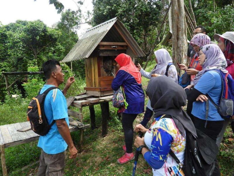 Johor: Belungkor Hill Hiking Tour - Key Points