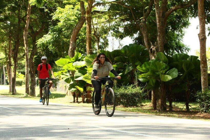 Johor: Desaru Coast Cycling - Johor: Desaru Coast Cycling — An Authentic Coastal Adventure