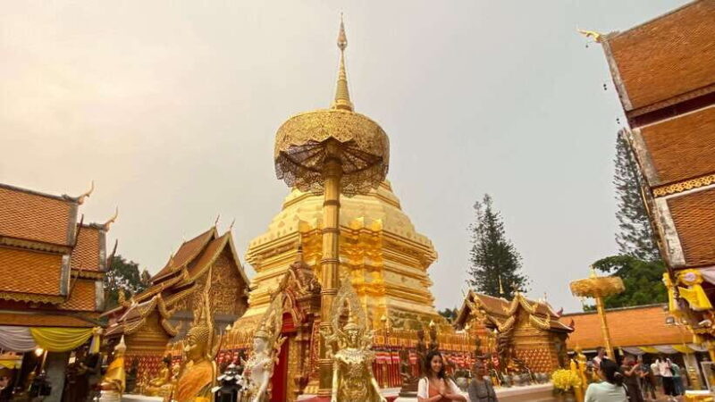 Join Chiangmai Anocheciendo - Key Points