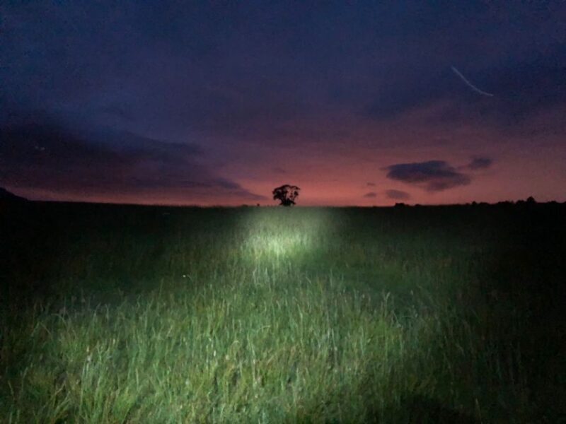 Join the Dark Side of Magical Nature - Who Should Consider This Tour?