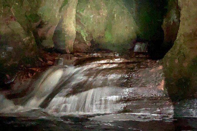Join the Dark Side of Magical Nature - The Experience in Detail: Exploring the Dark Side of Nature