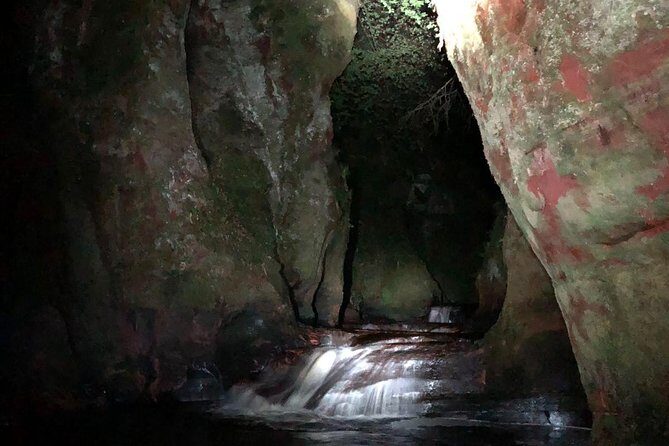 Join the Dark Side of Magical Nature - The Sum Up: Who Should Consider This Tour?