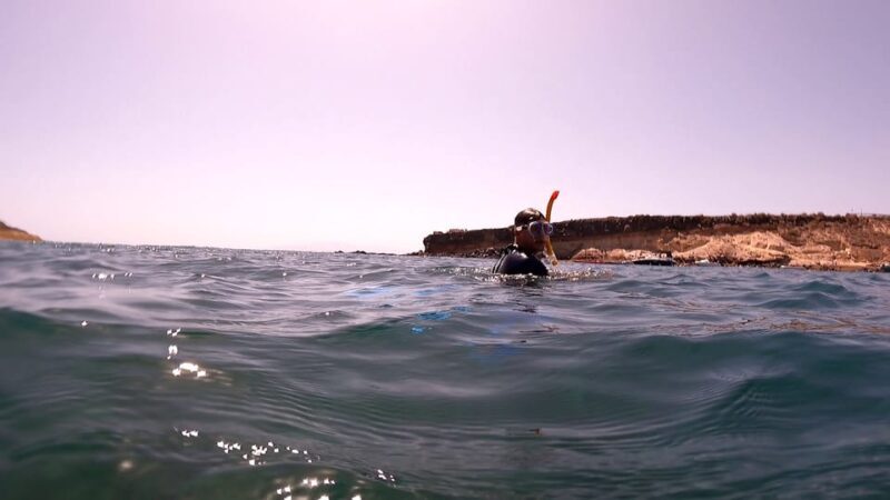 Join us on a snorkel boat tour - The Experience in Detail